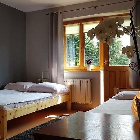 Rysiowka Apartment Poronin Ngoại thất bức ảnh