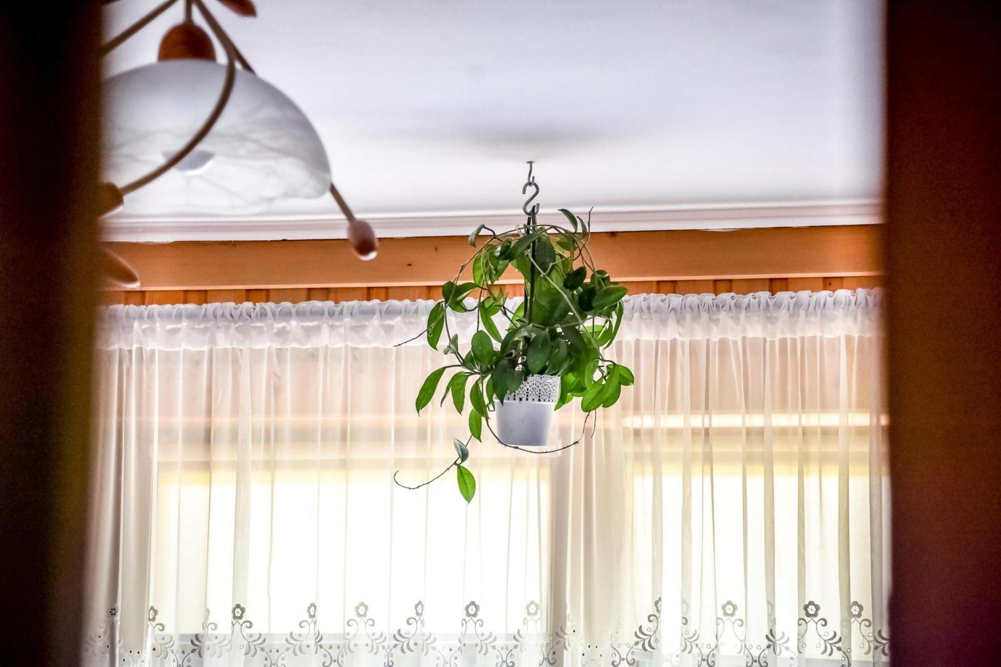 Rysiowka Apartment Poronin Ngoại thất bức ảnh