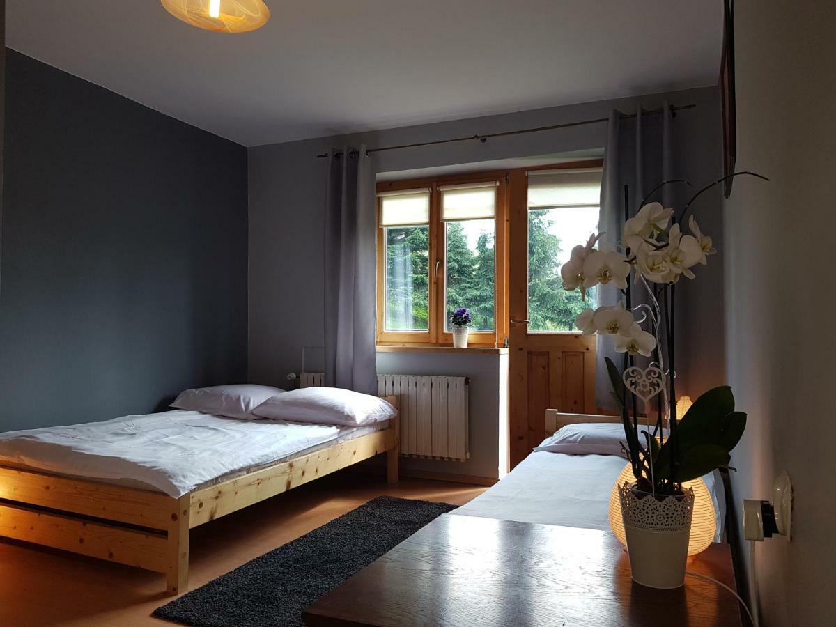 Rysiowka Apartment Poronin Ngoại thất bức ảnh